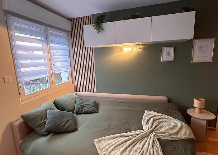 Confortable Et Cosy Apartmán Villers-lès-Nancy